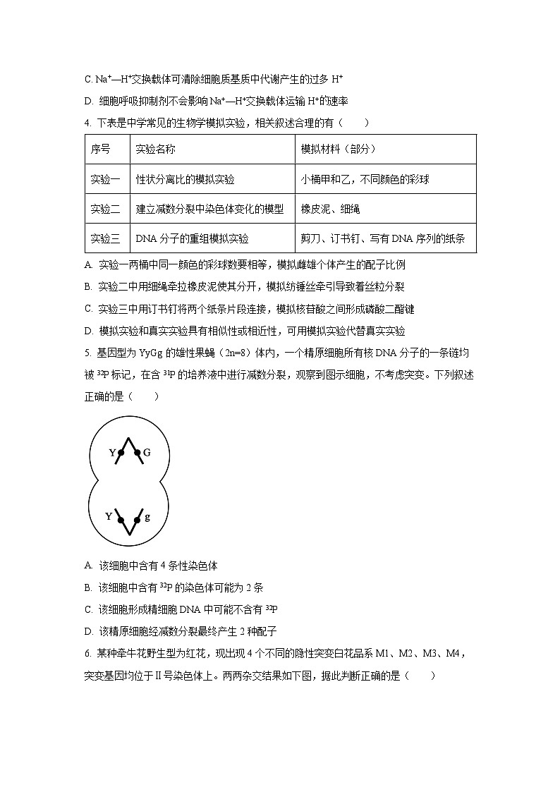 【生物】河南省部分学校2025-2026学年高三上学期12月月考（学生版）第2页