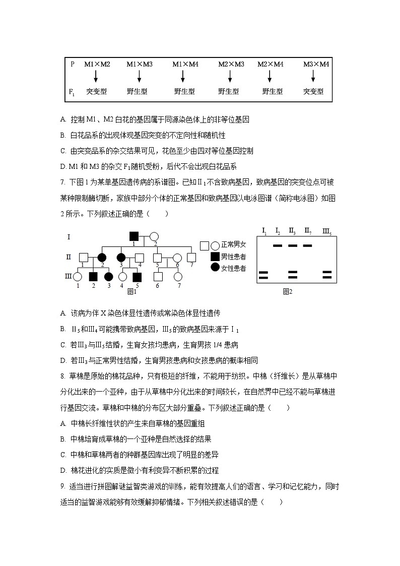 【生物】河南省部分学校2025-2026学年高三上学期12月月考（学生版）第3页