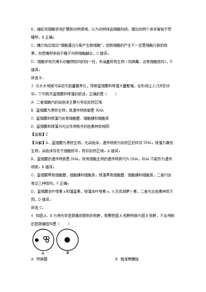 【生物】河南省多地2025-2026学年高一上学期11月质量检测试题（解析版）第2页