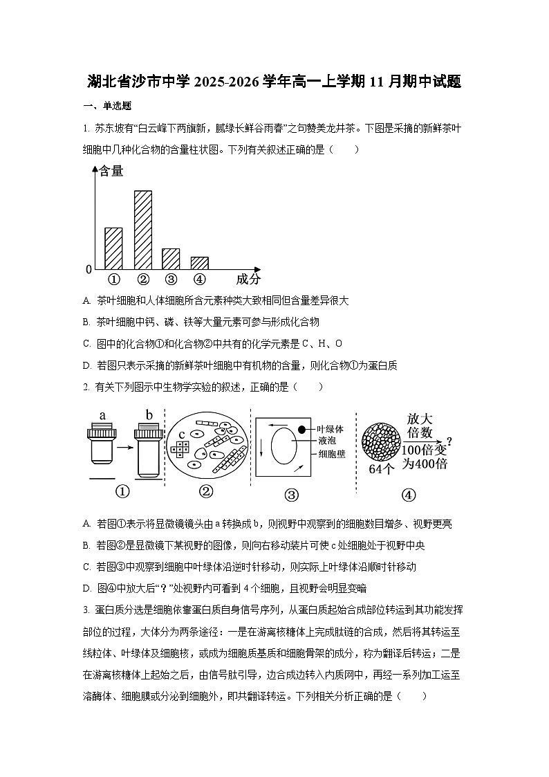【生物】湖北省沙市中学2025-2026学年高一上学期11月期中试题（学生版）第1页