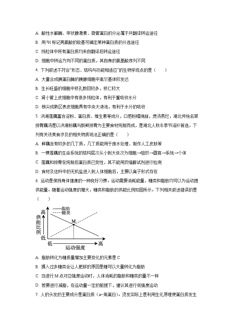 【生物】湖北省沙市中学2025-2026学年高一上学期11月期中试题（学生版）第2页