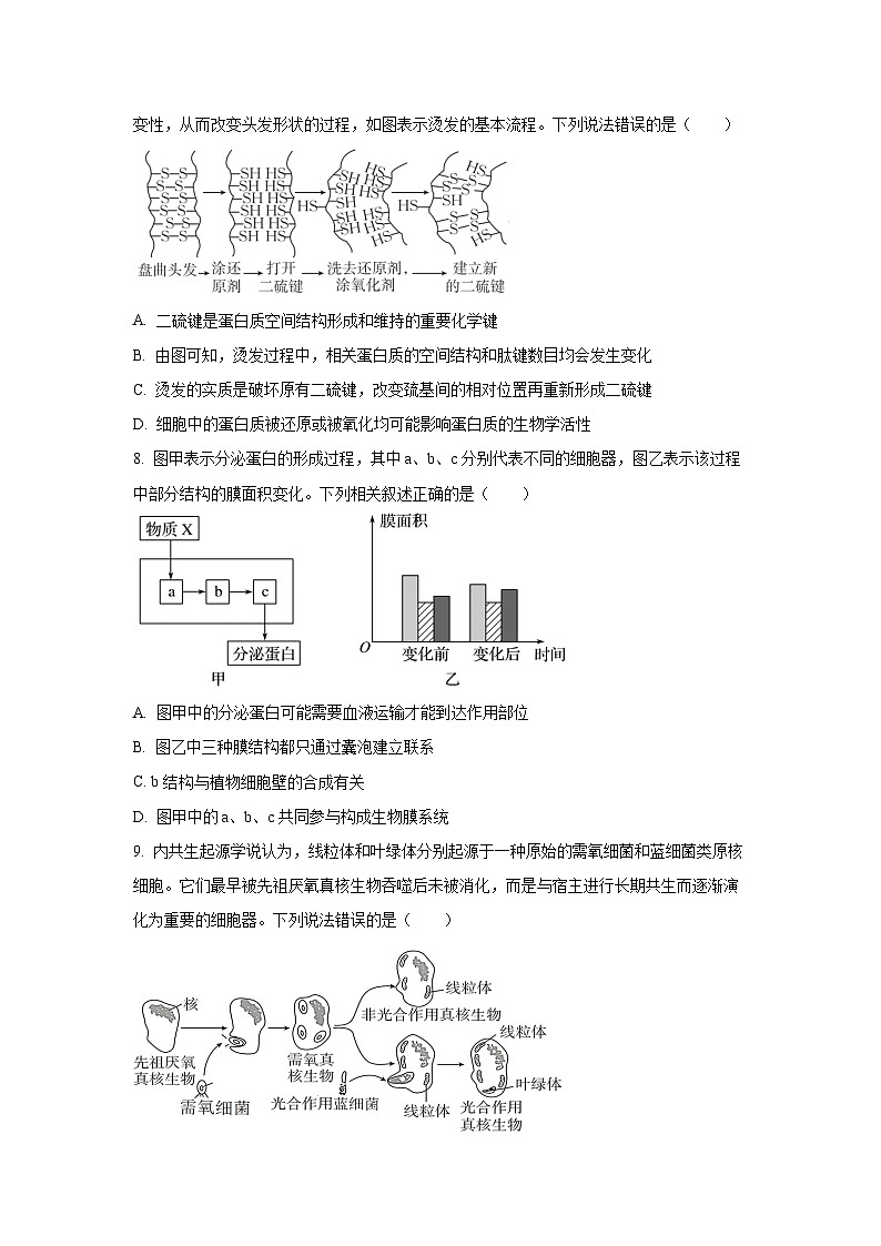 【生物】湖北省沙市中学2025-2026学年高一上学期11月期中试题（学生版）第3页