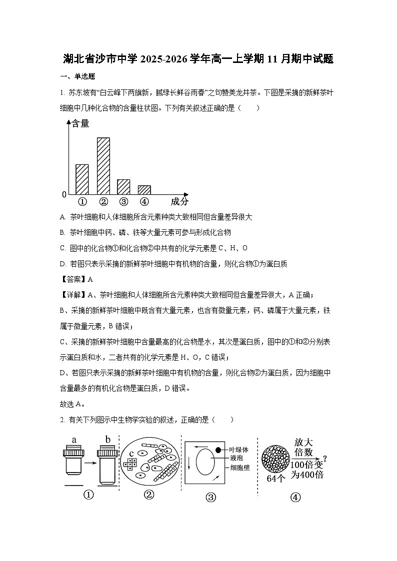 【生物】湖北省沙市中学2025-2026学年高一上学期11月期中试题（解析版）第1页