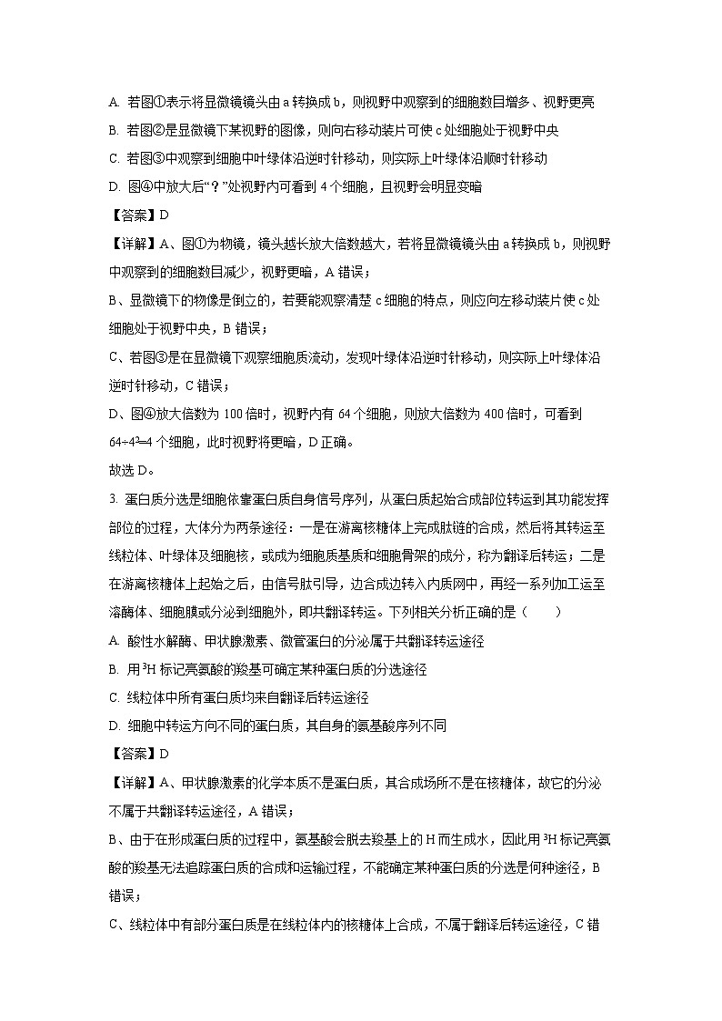 【生物】湖北省沙市中学2025-2026学年高一上学期11月期中试题（解析版）第2页
