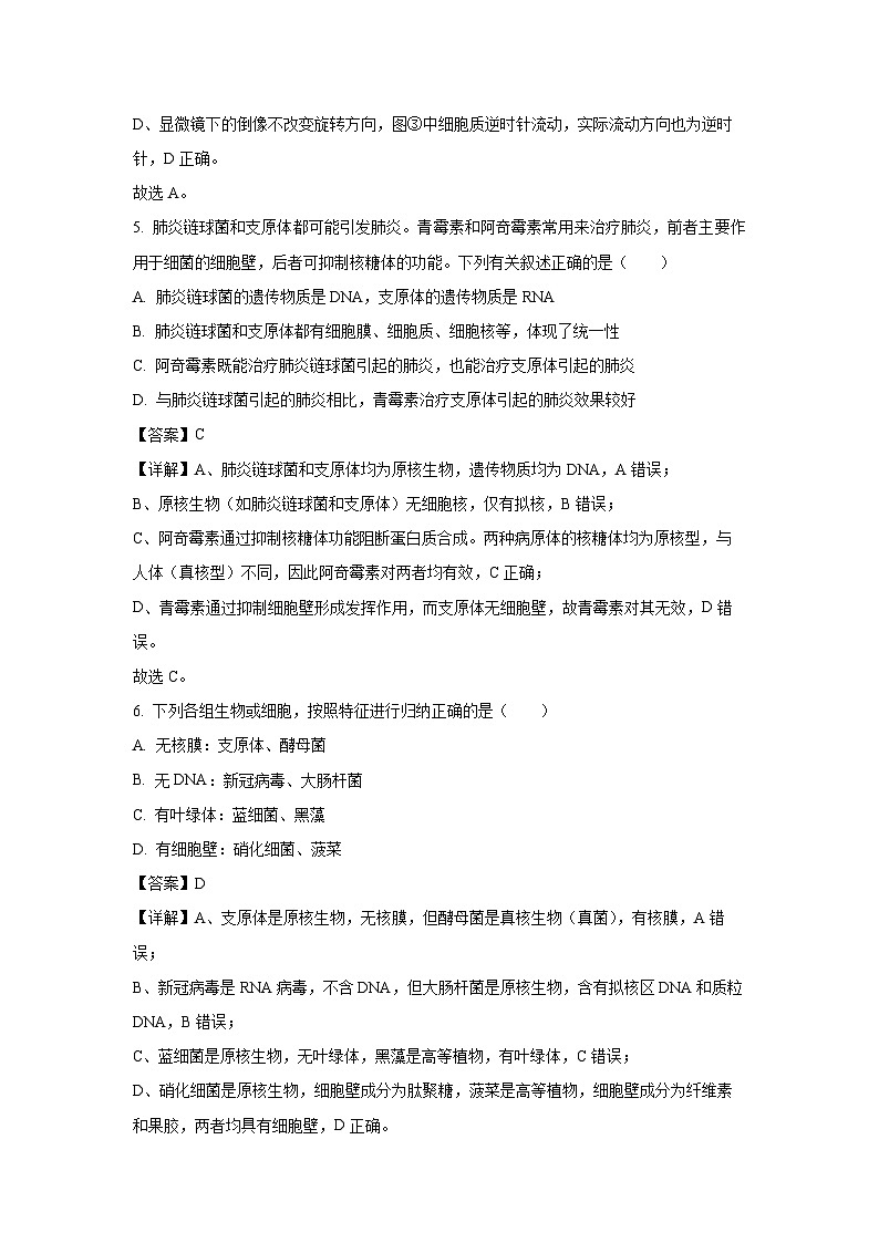 【生物】江苏省南京市七校联合体2025-2026学年高一上学期期中调研试题（解析版）第3页