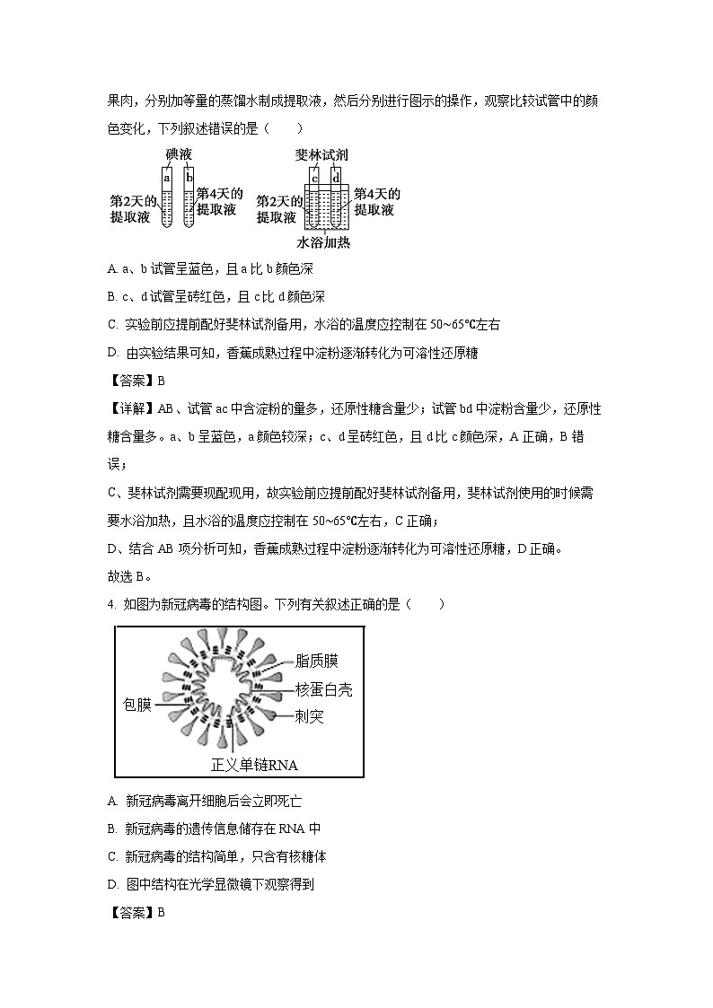 【生物】辽宁省锦州省重点2025-2026学年高一上学期期中试卷（解析版）第2页
