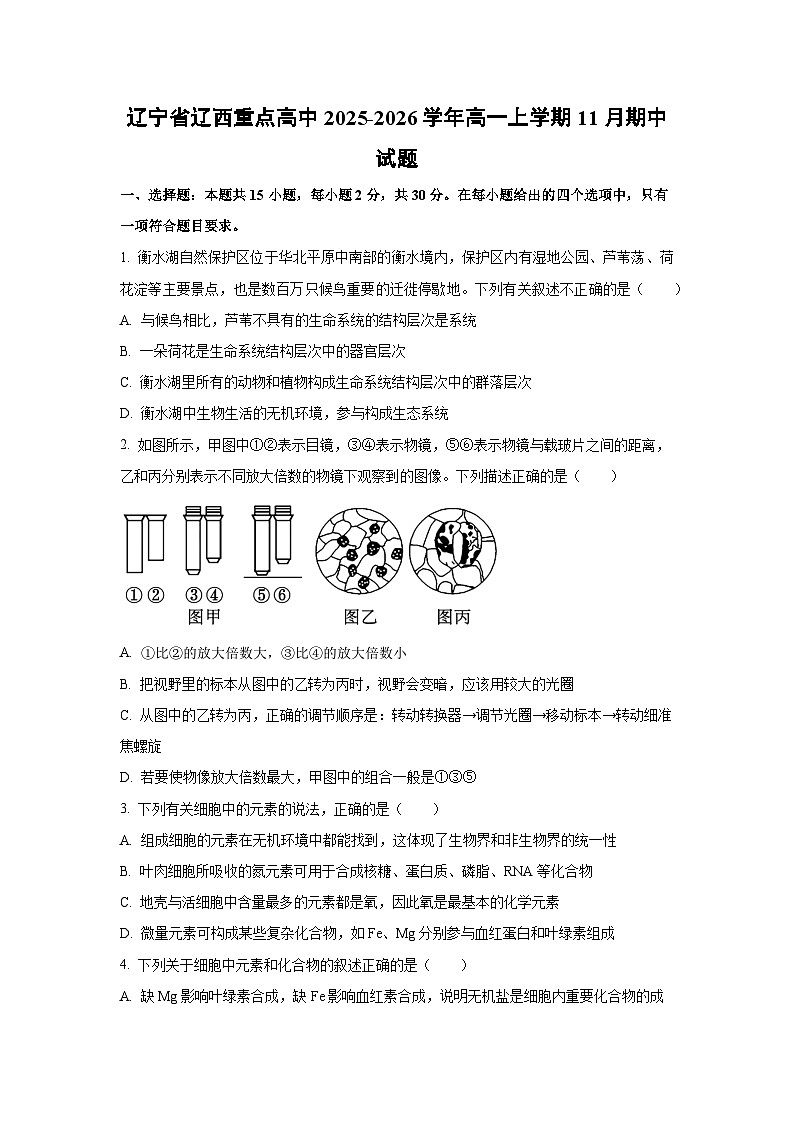 【生物】辽宁省辽西重点高中2025-2026学年高一上学期11月期中试题（学生版）第1页