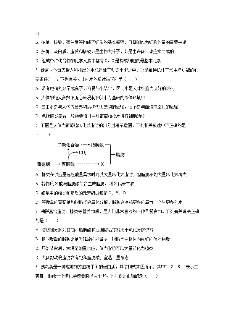 【生物】辽宁省辽西重点高中2025-2026学年高一上学期11月期中试题（学生版）第2页