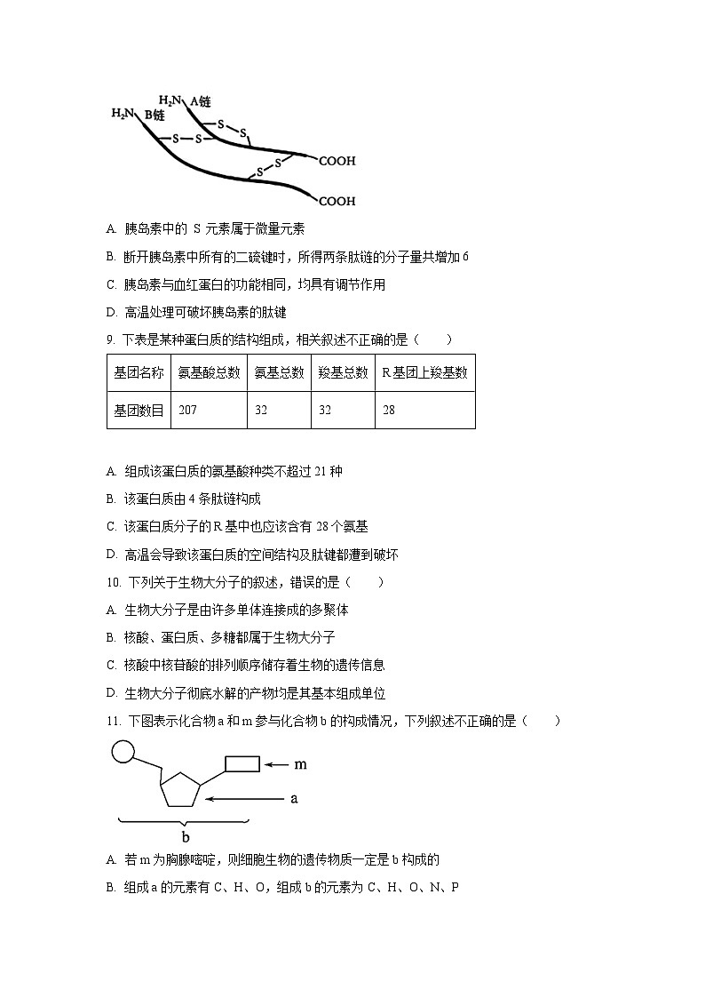 【生物】辽宁省辽西重点高中2025-2026学年高一上学期11月期中试题（学生版）第3页