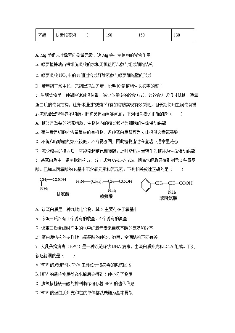 【生物】山东名校考试联盟2025—2026学年高一上学期期中考试试题（学生版）第2页