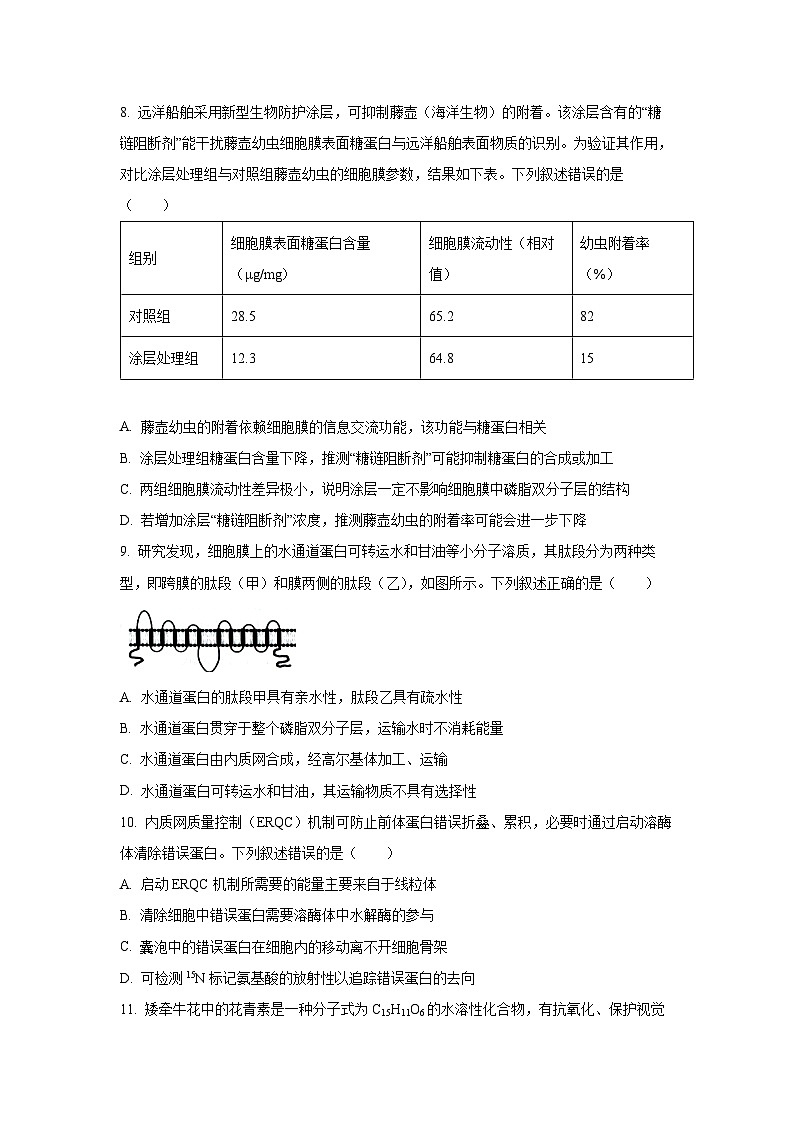 【生物】山东名校考试联盟2025—2026学年高一上学期期中考试试题（学生版）第3页