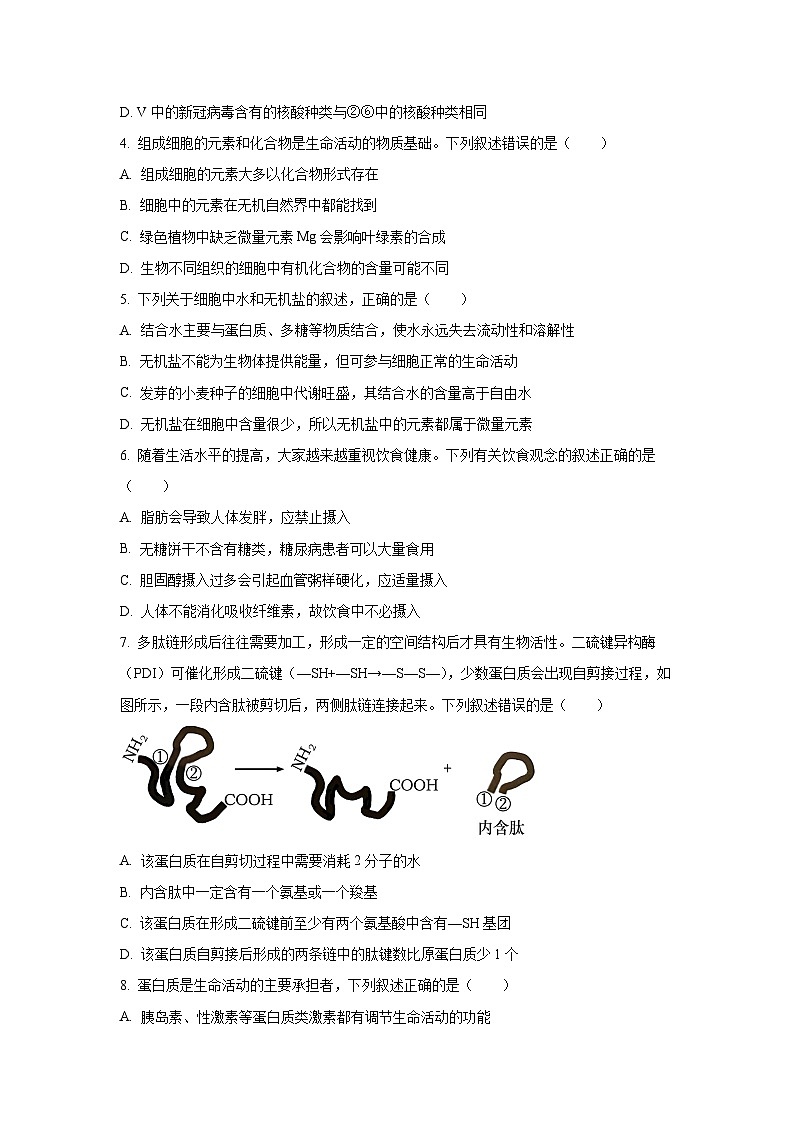 【生物】山西省部分学校2025-2026学年高一上学期11月期中试题（学生版）第2页
