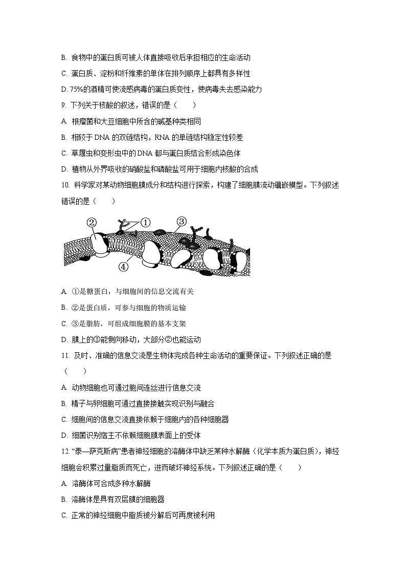 【生物】山西省部分学校2025-2026学年高一上学期11月期中试题（学生版）第3页