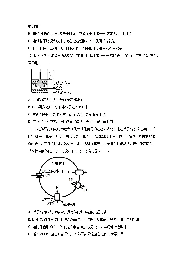 【生物】四川省泸州市龙马潭区2025-2026学年高一上学期11月期中试题（学生版）第3页