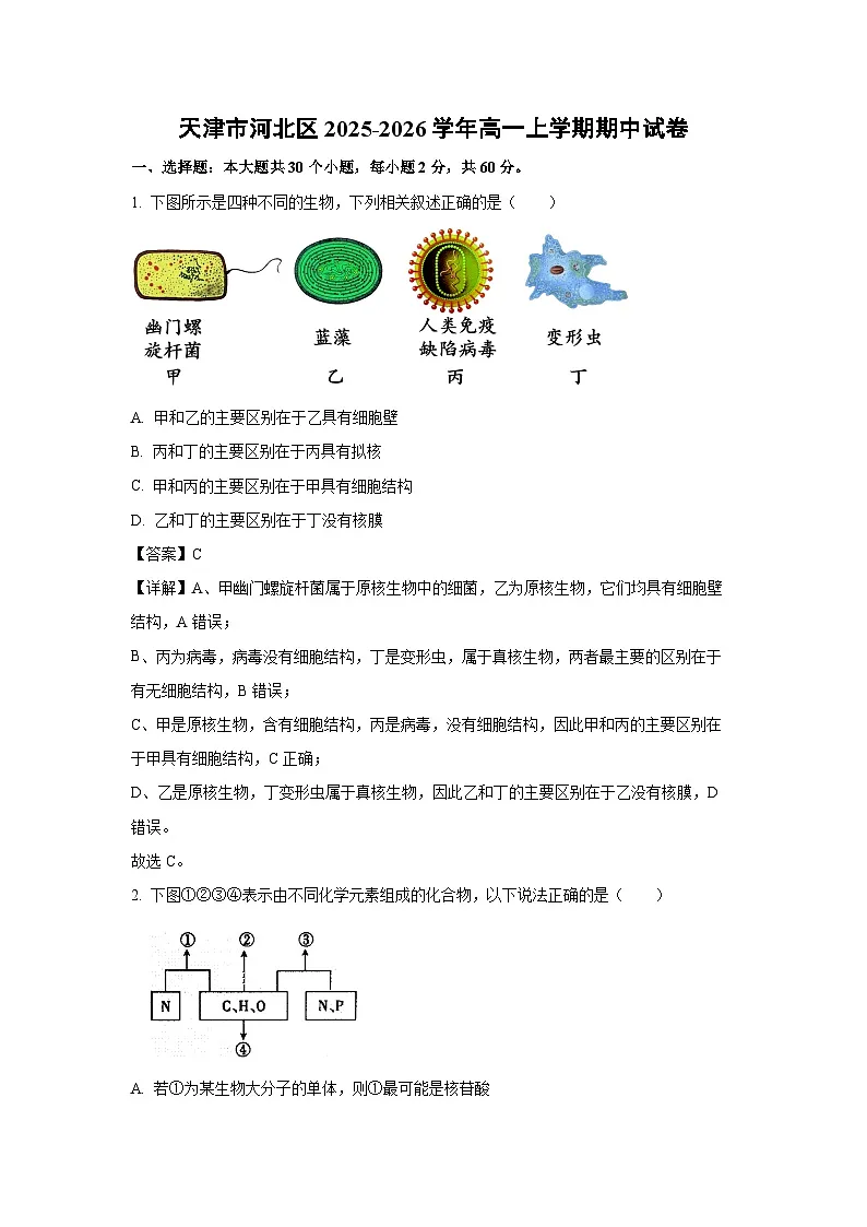 【生物】天津市河北区2025-2026学年高一上学期期中试卷（解析版）第1页
