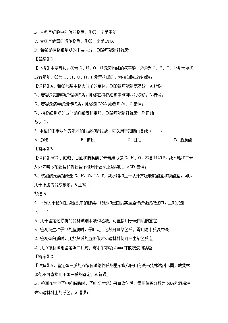 【生物】天津市河北区2025-2026学年高一上学期期中试卷（解析版）第2页