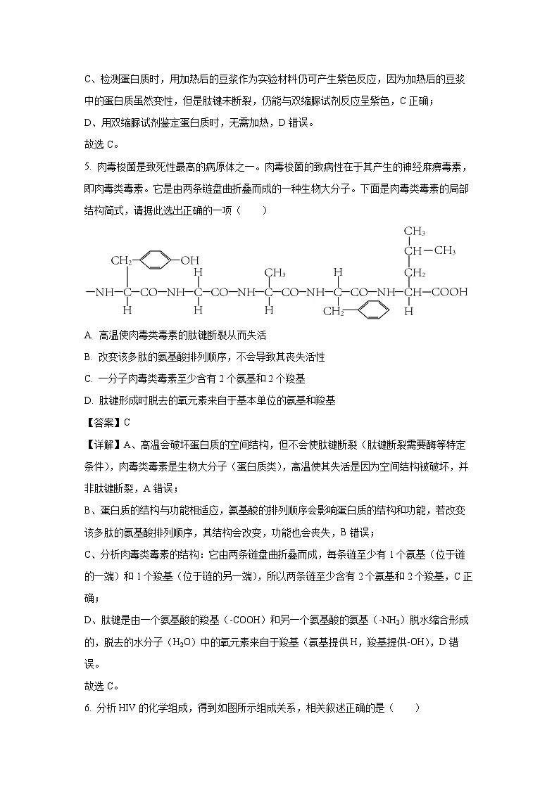 【生物】天津市河北区2025-2026学年高一上学期期中试卷（解析版）第3页