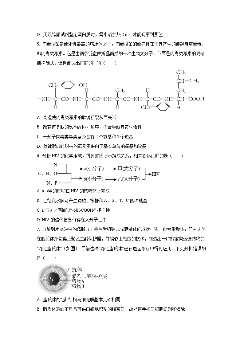 【生物】天津市河北区2025-2026学年高一上学期期中试卷（学生版）第2页