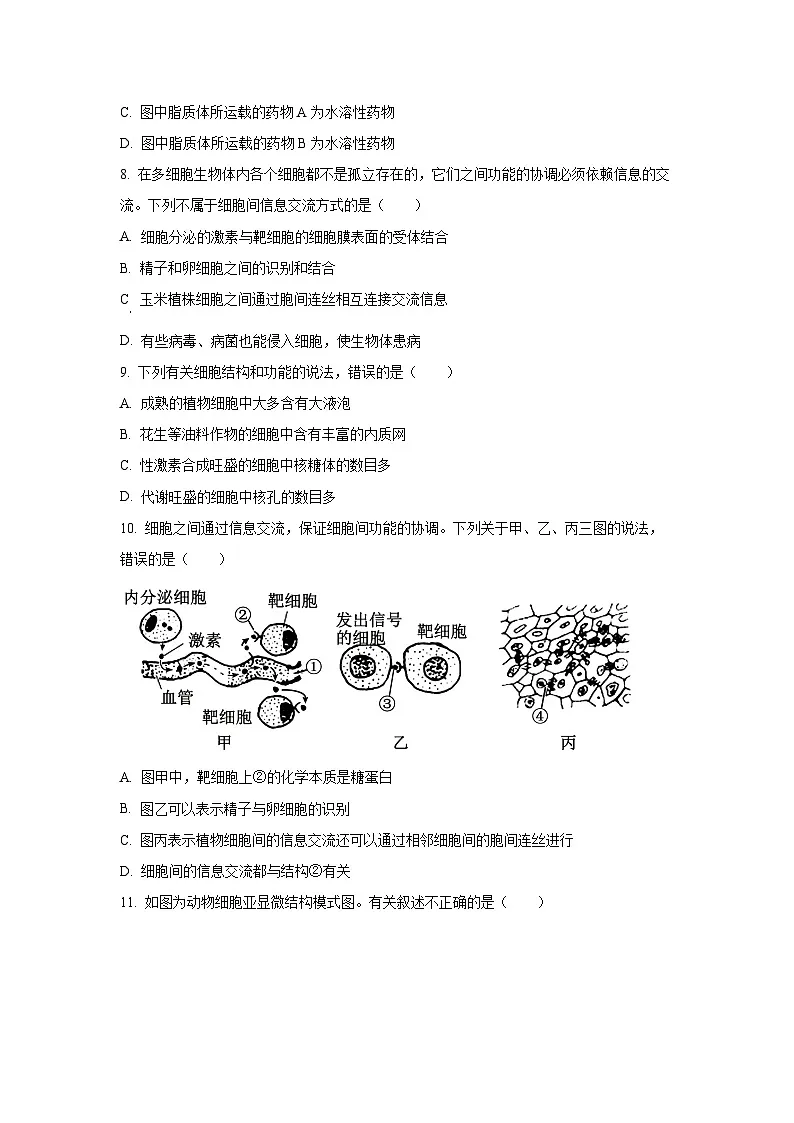 【生物】天津市河北区2025-2026学年高一上学期期中试卷（学生版）第3页