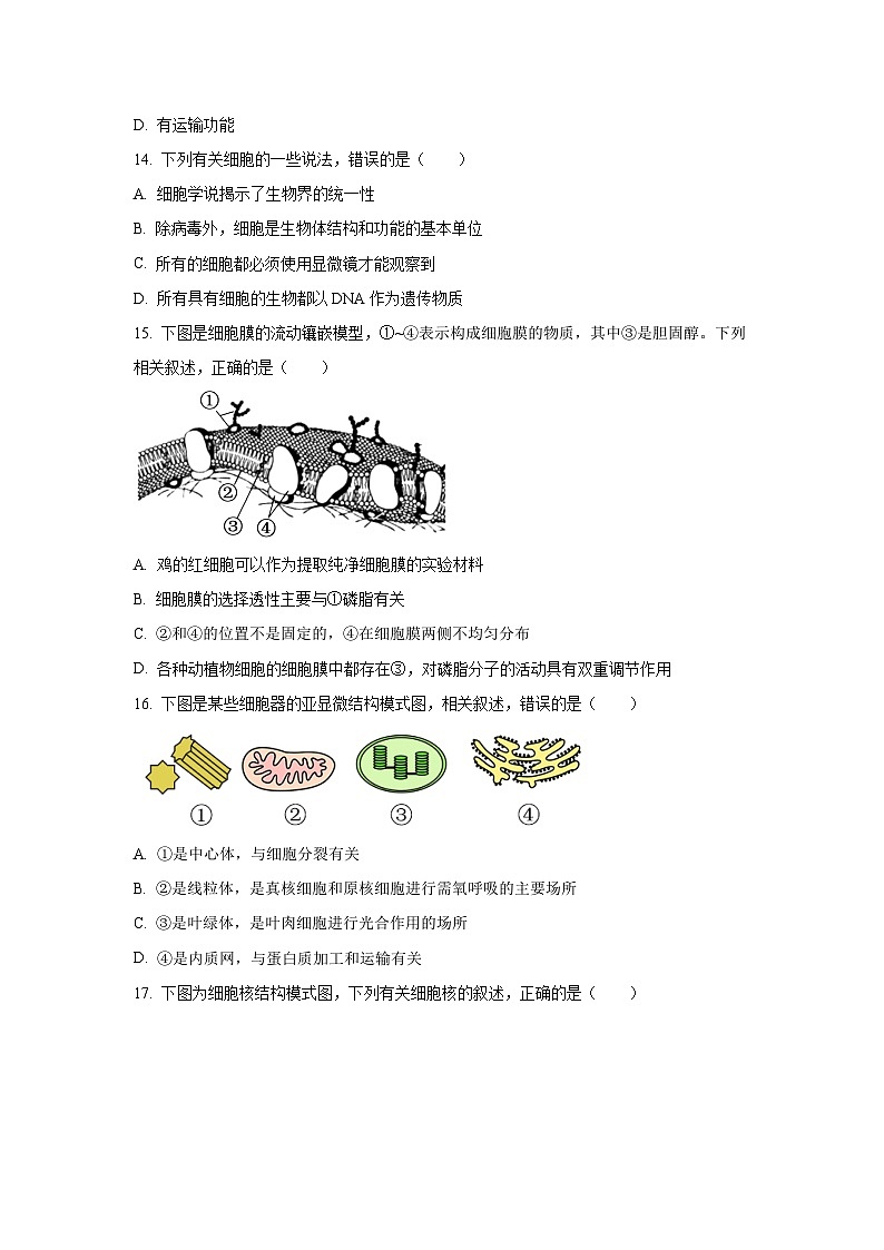 【生物】浙江省强基联盟2025-2026学年高一上学期11月期中试题（学生版）第3页
