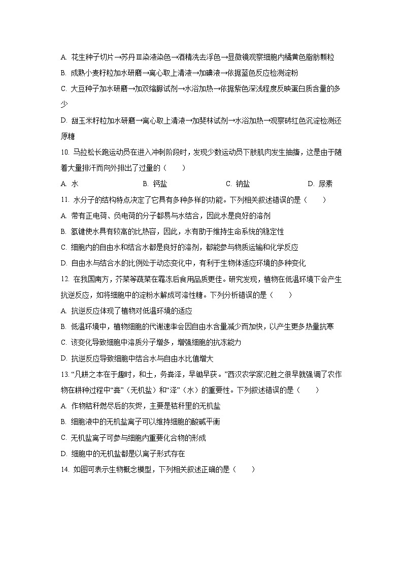 【生物】重庆市复旦中学教共体2025-2026学年高一上学期期中考试试题（学生版）第3页