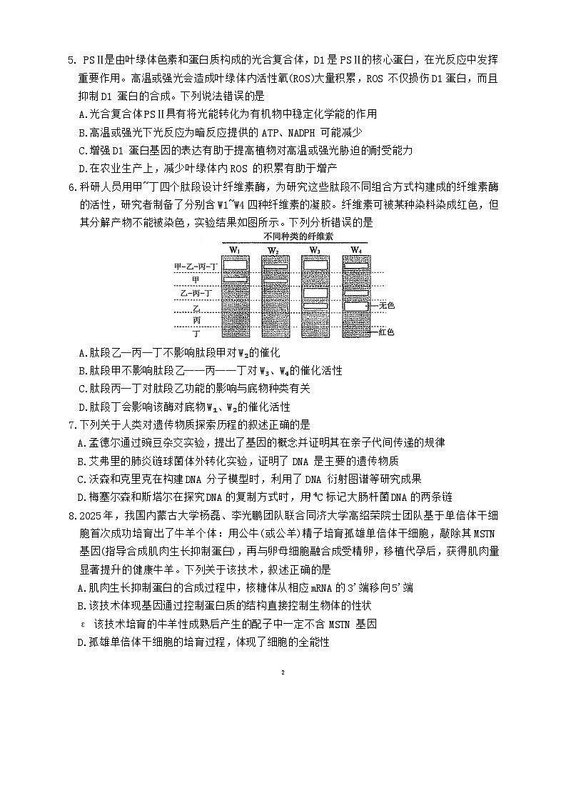 海南中学2026届高三年级第3次月考生物第2页