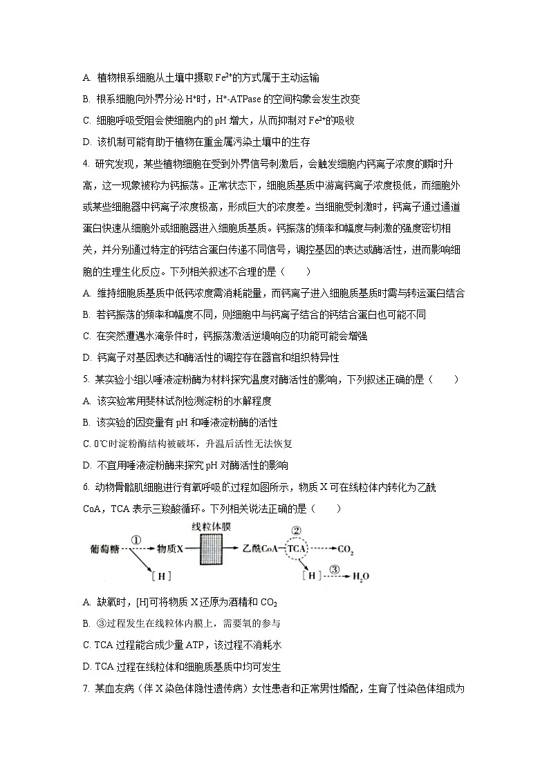 【生物】河南省天一大联考2025-2026学年高三上学期12月月考（学生版）第2页