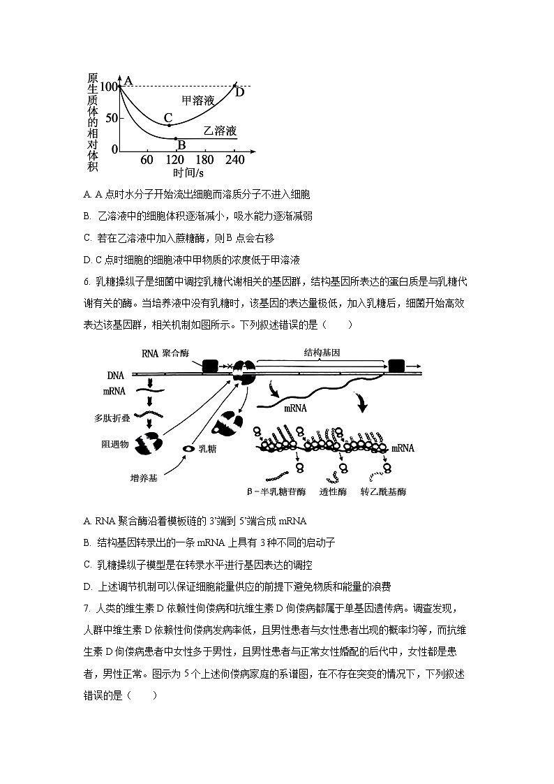 【生物】湖北省十一校2025-2026学年高三上学期12月质量检测（学生版）第2页