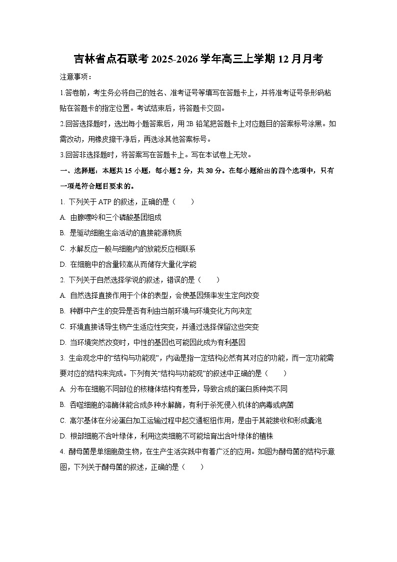【生物】吉林省点石联考2025-2026学年高三上学期12月月考（学生版）第1页