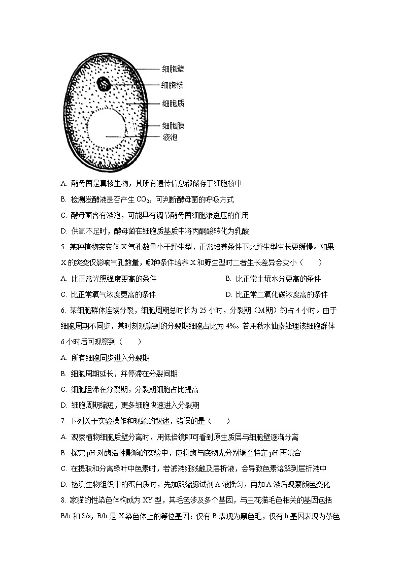 【生物】吉林省点石联考2025-2026学年高三上学期12月月考（学生版）第2页