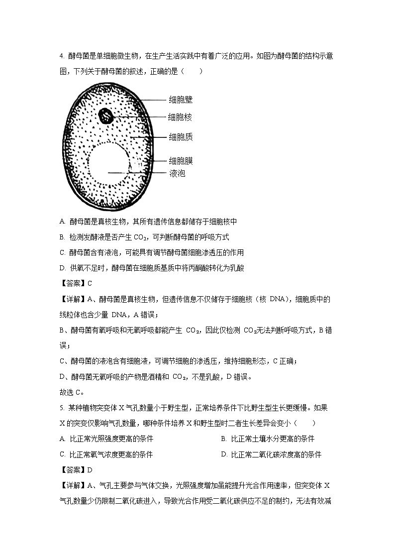 【生物】吉林省点石联考2025-2026学年高三上学期12月月考（解析版）第3页