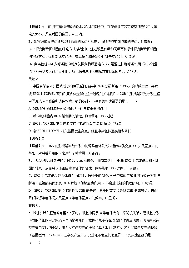 【生物】辽宁省大连市2025-2026学年高三上学期12月月月考（解析版）第3页