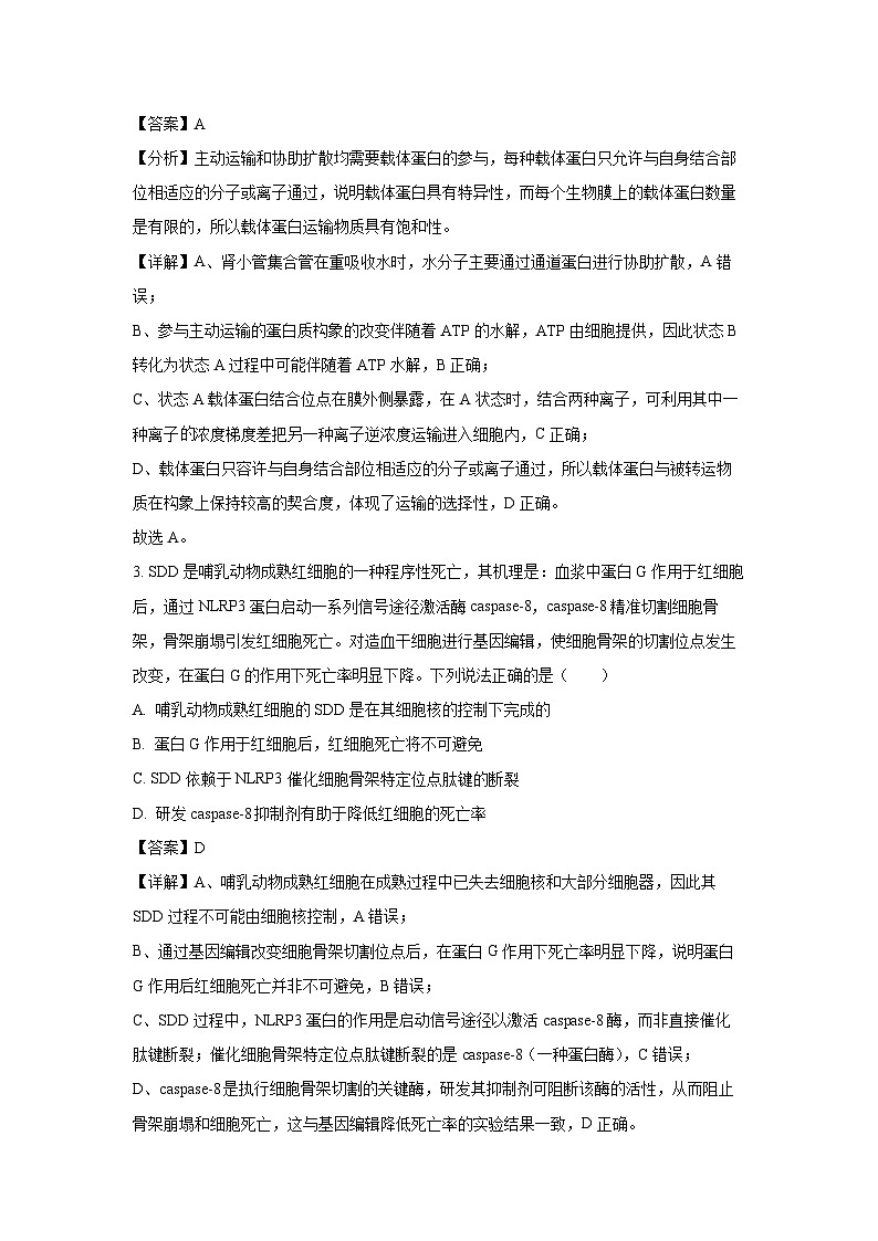 【生物】山东省泰安市2025-2026学年高三上学期12月检测（解析版）第2页
