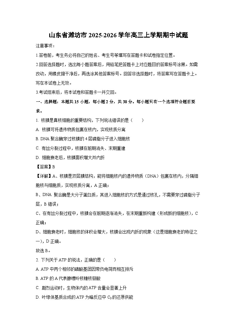 【生物】山东省潍坊市2025-2026学年高三上学期期中试题（解析版）第1页