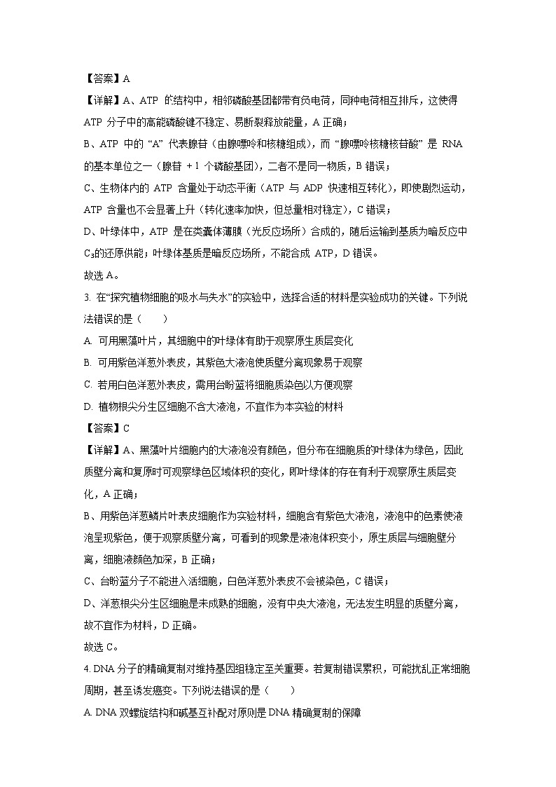 【生物】山东省潍坊市2025-2026学年高三上学期期中试题（解析版）第2页