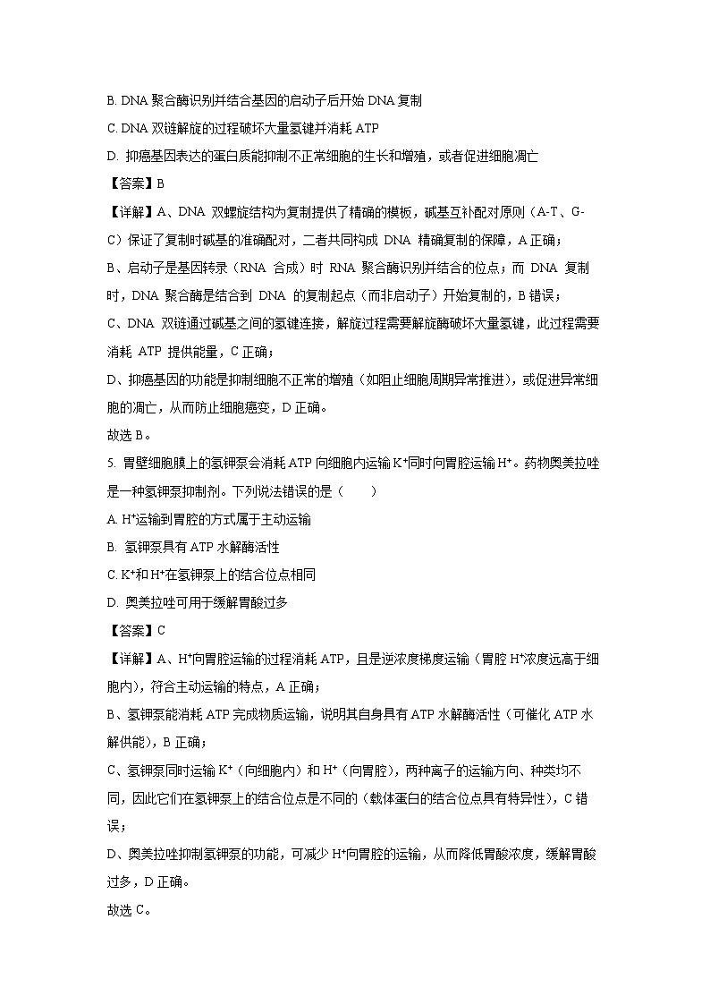 【生物】山东省潍坊市2025-2026学年高三上学期期中试题（解析版）第3页