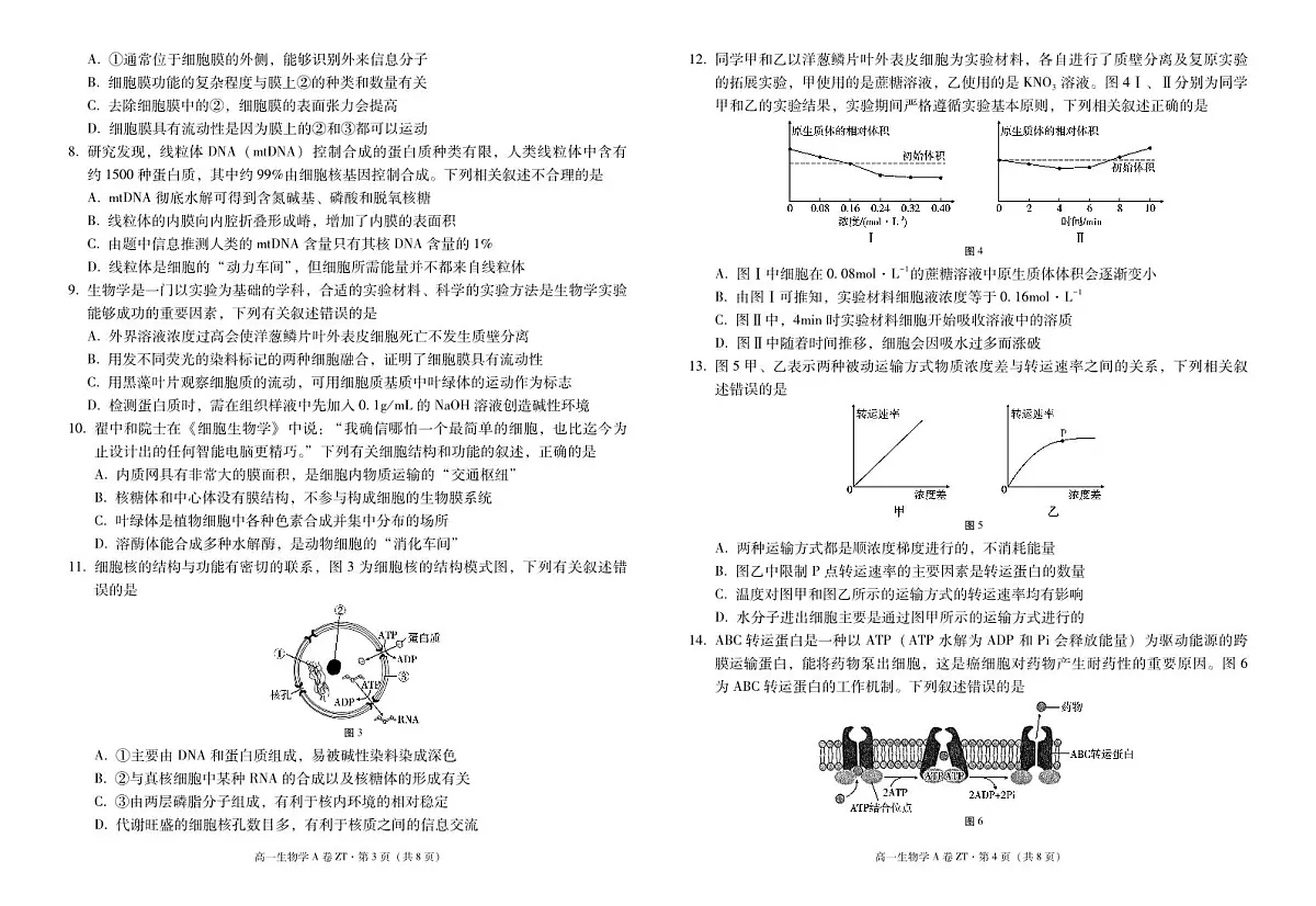 云南省昭通一中教研联盟2025-2026学年高一上学期期中考试生物（A）试卷第2页