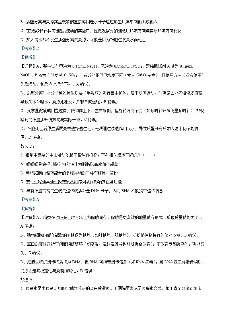 湖南省五市十校2025-2026学年高一上学期12月联考生物试题 Word版含解析第3页