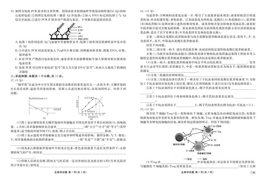 衡水金卷河南省2025-2026学年高三上学期12月阶段性自测生物学试卷（含答案）第3页