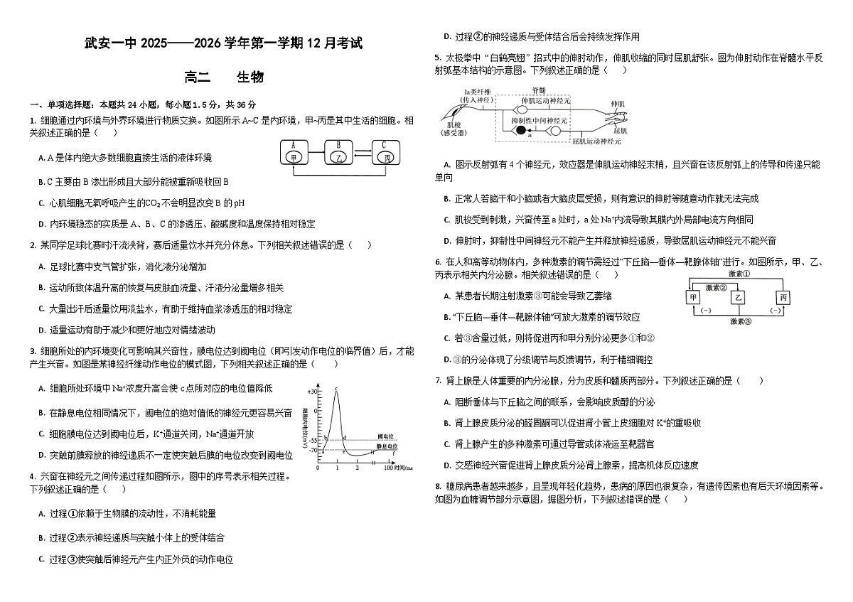 河北省邯郸市武安市第一中学2025-2026学年高二上学期12月月考生物试题第1页