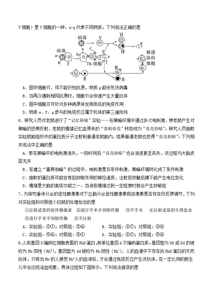 福建省龙岩市连城县第一中学2025-2026学年高二上学期12月月考生物试题（含答案）第2页