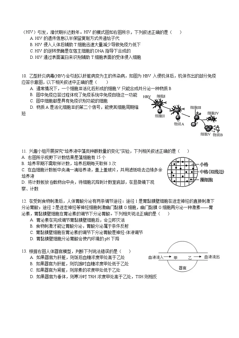 广东省东莞市七校2025-2026学年高二上学期期中考试生物试题第3页