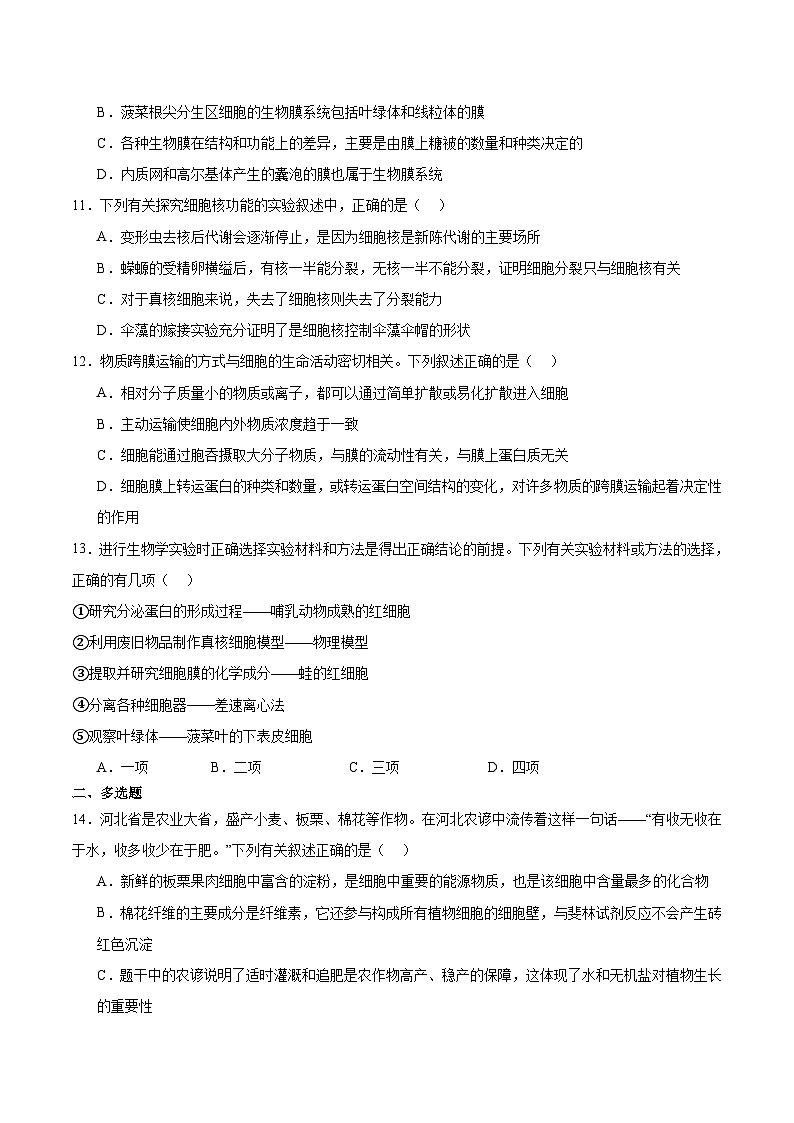 河北省保定市六校联盟2025-2026学年高一上学期期中联考试题 生物 Word版含答案第3页