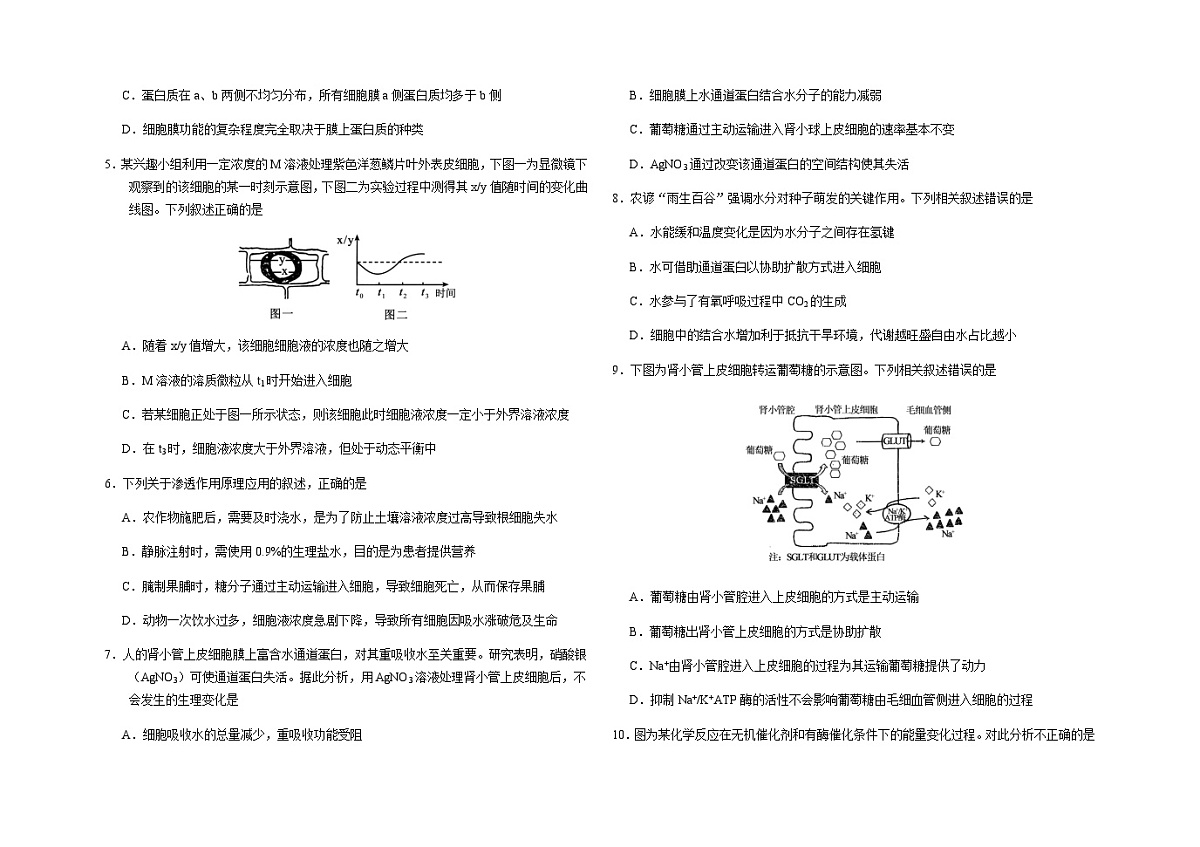吉林省长春市朝阳区长春外国语学校2025-2026学年高一上学期12月月考生物试题（含答案）第2页