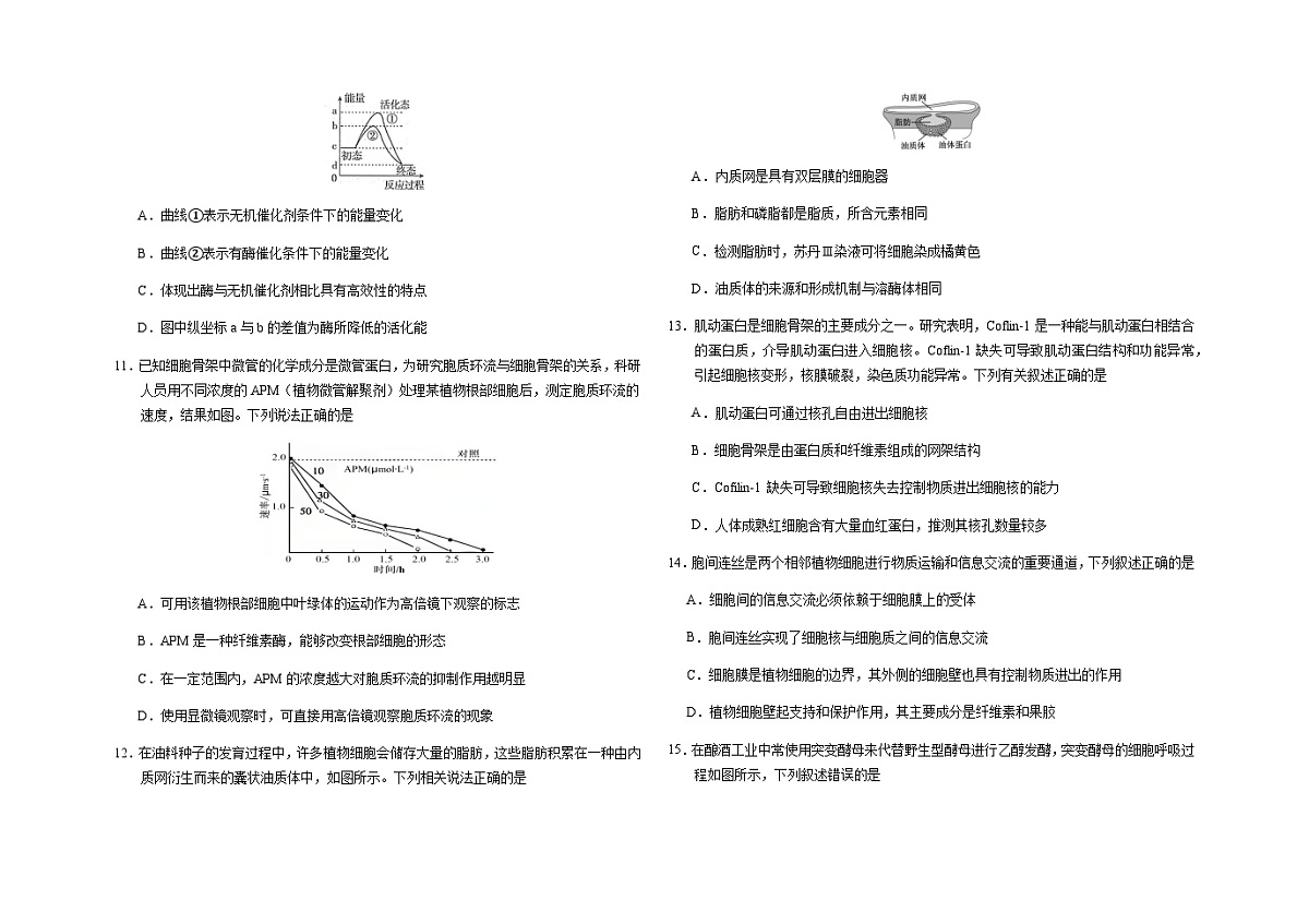 吉林省长春市朝阳区长春外国语学校2025-2026学年高一上学期12月月考生物试题（含答案）第3页