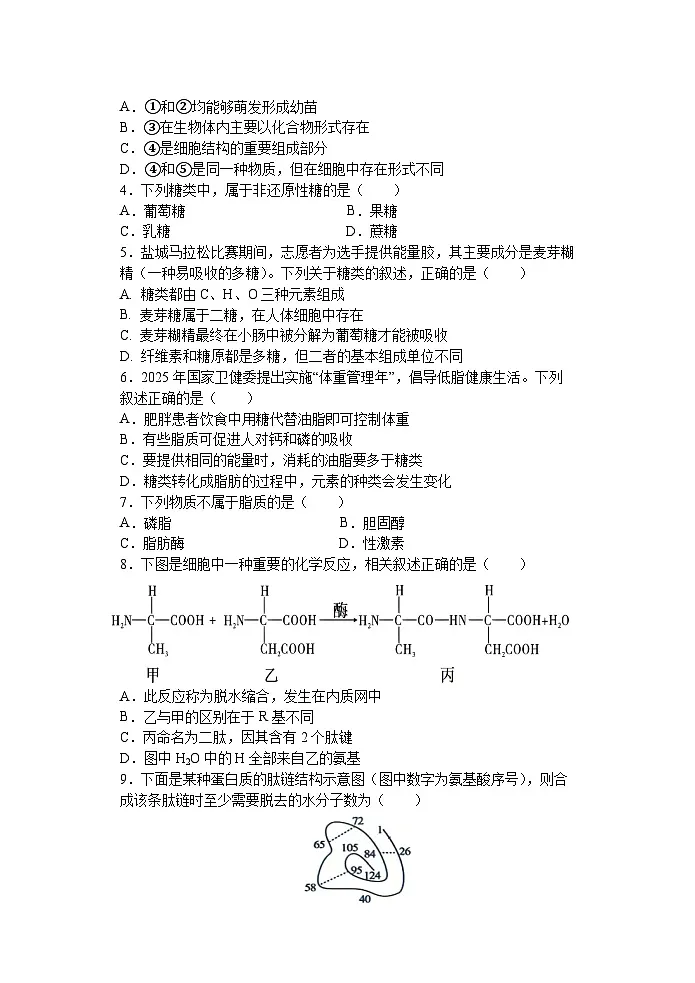江苏省盐城市五校联盟2025-2026学年高一上学期12月月考生物试题第2页