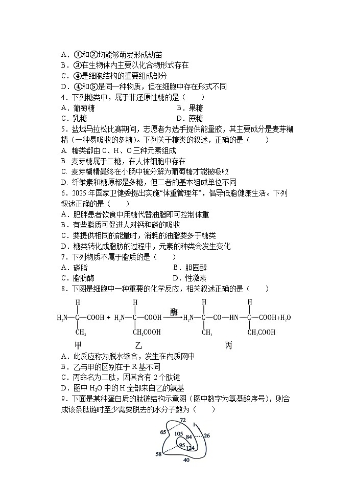 江苏省盐城市五校联盟2025-2026学年高一上学期12月月考生物试题第2页