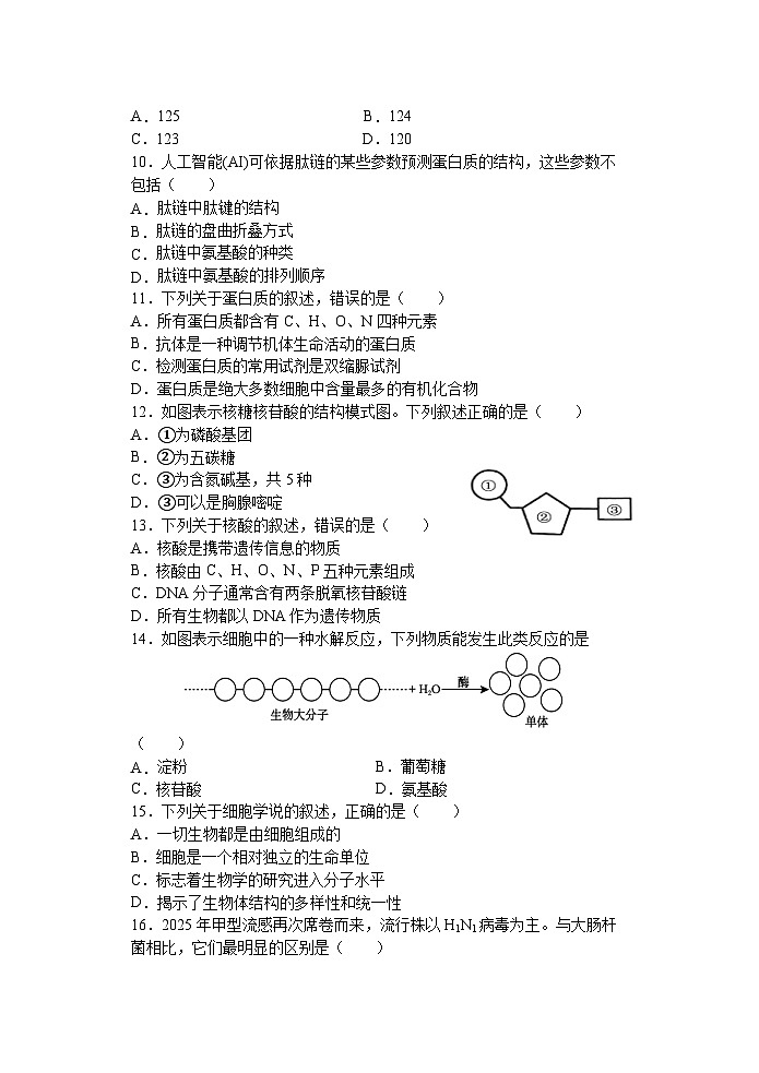 江苏省盐城市五校联盟2025-2026学年高一上学期12月月考生物试题第3页
