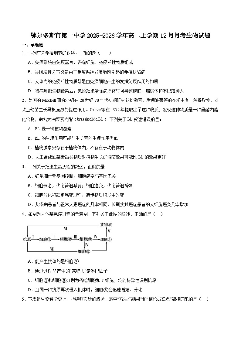 内蒙古鄂尔多斯市第一中学2025-2026学年高二上学期12月月考生物试卷（含答案）第1页