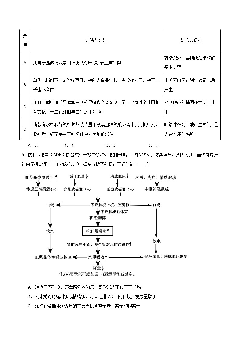 内蒙古鄂尔多斯市第一中学2025-2026学年高二上学期12月月考生物试卷（含答案）第2页